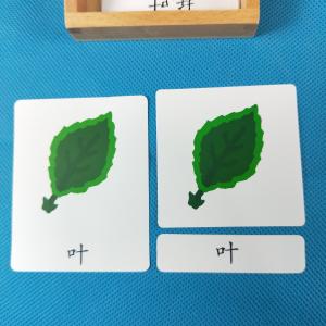 Leaf cards montessori materials