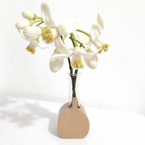 wooden vase mini seed