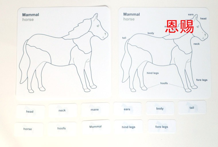  horse from bird turtle fish puzzle control chart PP 