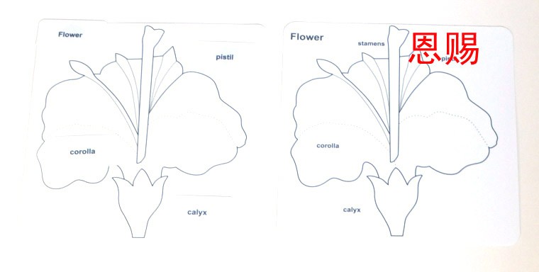 leaf tree and flower puzzle control chart PP