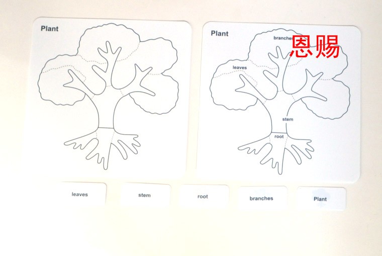 leaf tree and flower puzzle control chart PP